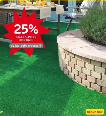 Praxis op Marbella grastapijt aanbieding