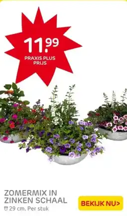 Praxis Zomermix in zinken schaal aanbieding