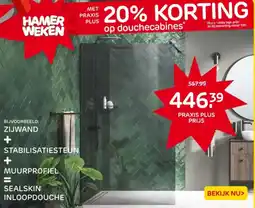 Praxis Zijwand + stabilisatiesteun + muurprofiel = sealskin aanbieding