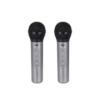 Bol.com Trevi EM 415 R Zwart Zilver Karaokemicrofoon aanbieding