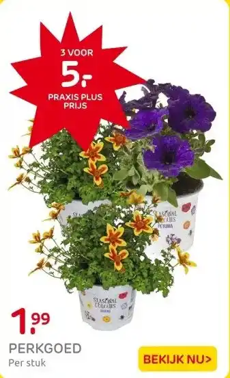 Praxis PERKGOED aanbieding