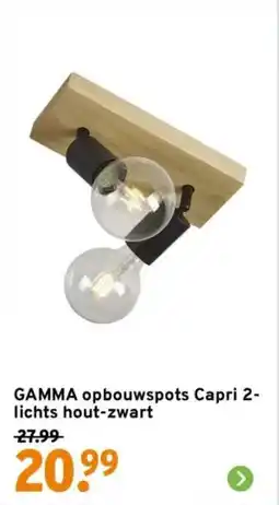 GAMMA GAMMA opbouwspots Capri 2 lichts hout zwart aanbieding