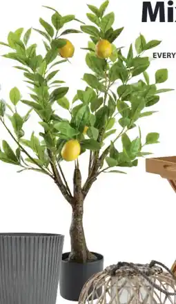Jysk Gransanger kunstplant aanbieding