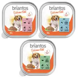 Zooplus Briantos Delicious Paté 27 x 300 g - Mix: vis, lam & rund aanbieding