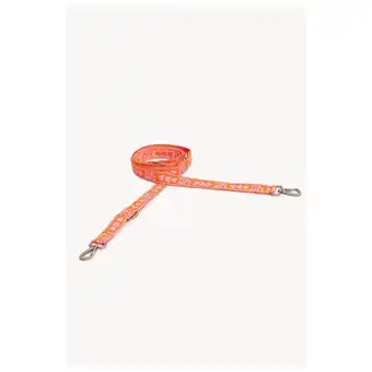 Pets Place Dogguo Leash - Hondenriem - 23 cm Oranje Pink Voor Kleine Honden aanbieding