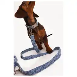 Pets Place Dogguo Denim Leash - Hondenriem - 23 cm Denim Voor Kleine Honden aanbieding