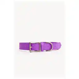 Pets Place Dogguo Zebra Collar - Hondenhalsband - Paars aanbieding