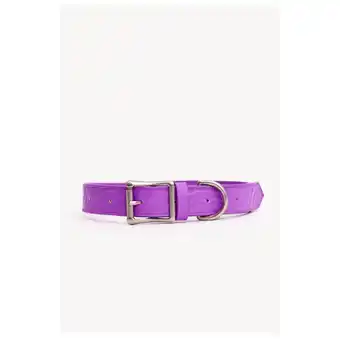 Pets Place Dogguo Zebra Collar - Hondenhalsband - Paars aanbieding