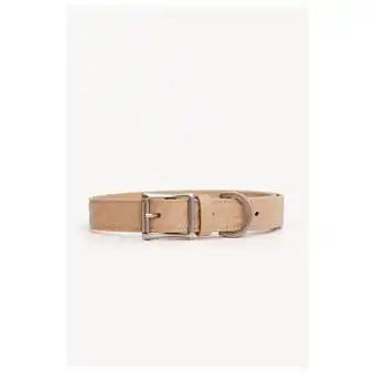 Pets Place Dogguo Zebra Collar - Hondenhalsband - Beige aanbieding