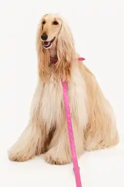 Pets Place Dogguo Heart Leash - Hondenriem - Roze aanbieding
