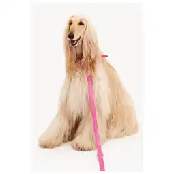 Pets Place Dogguo Heart Leash - Hondenriem - Roze aanbieding