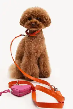 Pets Place Dogguo Heart Leash - Hondenriem - Oranje aanbieding