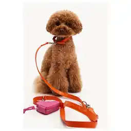 Pets Place Dogguo Heart Leash - Hondenriem - Oranje aanbieding