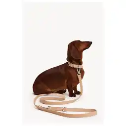 Pets Place Dogguo Zebra Leash - Hondenriem - Beige aanbieding