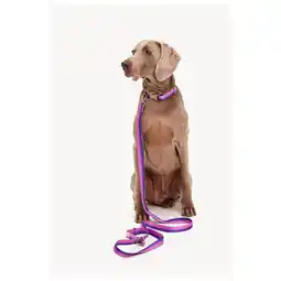 Pets Place Dogguo Gradient Leash - Hondenriem - 23 cm Paars Pink Voor Kleine Honden aanbieding