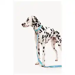 Pets Place Dogguo Leash - Hondenriem - 23 cm Blauw Zilver Voor Kleine Honden aanbieding