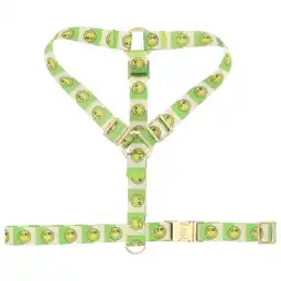 Pets Place Dogguo Nylon Smiley Harness - Hondentuig - Groen Beige Lime 40-67/62-102x2.5 Cm aanbieding
