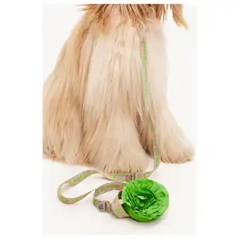Pets Place Dogguo Leash - Hondenriem - 23 cm Groen Pink Voor Kleine Honden aanbieding
