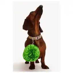 Pets Place Dogguo Flower Poepzakjes Houder - Hondenriem - Ø10x3 cm Groen Voor Honden aanbieding