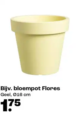 Kwantum Bloempot Flores aanbieding