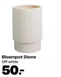 Kwantum Bloempot Dione aanbieding