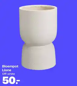 Kwantum Bloempot Lione aanbieding