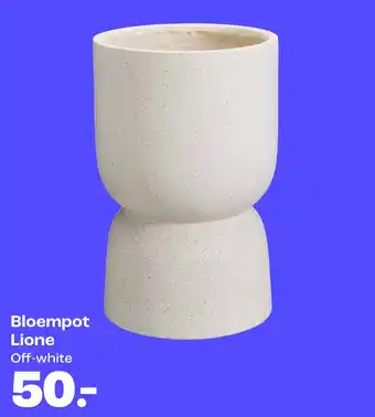 Kwantum Bloempot Lione aanbieding