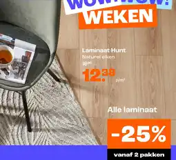 Kwantum Laminaat Hunt aanbieding