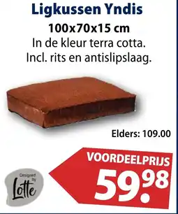 Huisdier Voordeelshop Ligkussen Yndis aanbieding