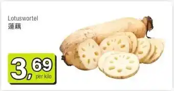 Amazing Oriëntal Lotuswortel 蓮藕 aanbieding