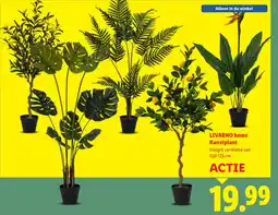 Lidl LIVARNO home Kunstplant aanbieding