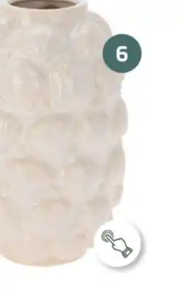 Coppelmans 7,99 aanbieding