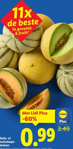Lidl Galia of cantaloupe meloen aanbieding