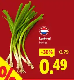 Lidl Lente ui Per bos aanbieding