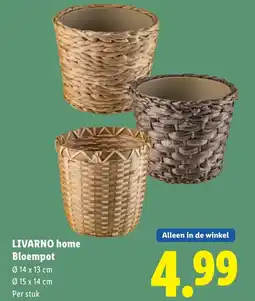 Lidl Livarno home bloempot aanbieding