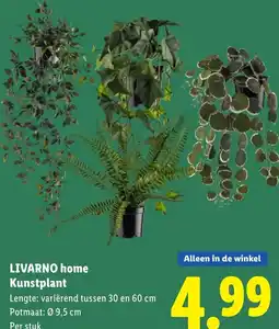 Lidl Livarno home kunstplant aanbieding