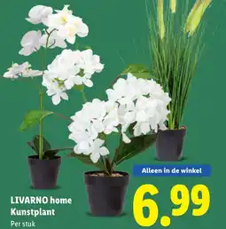 Lidl Livarno home kunstplant aanbieding