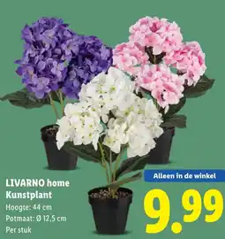 Lidl Livarno home kunstplant aanbieding