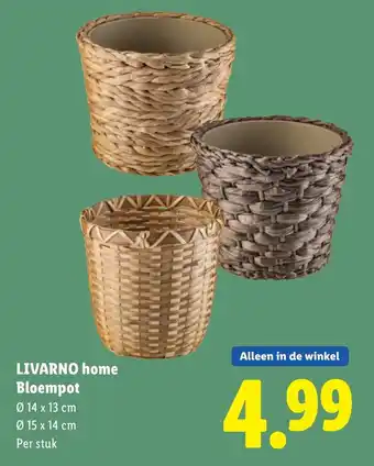 Lidl LIVARNO home Bloempot aanbieding