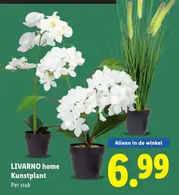 Lidl LIVARNO home Kunstplant aanbieding