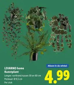 Lidl LIVARNO home Kunstplant aanbieding