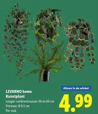 Lidl LIVARNO home Kunstplant aanbieding