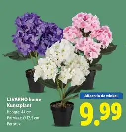 Lidl LIVARNO home Kunstplant aanbieding