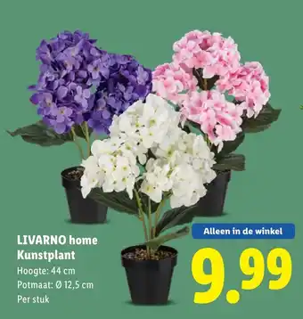 Lidl LIVARNO home Kunstplant aanbieding