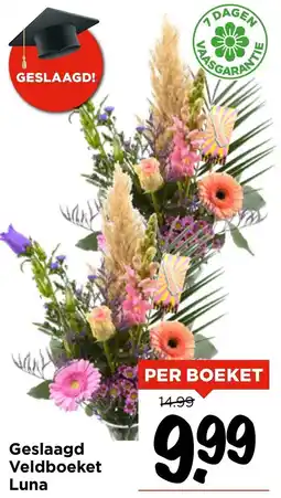 Vomar Voordeelmarkt Geslaagd Veldboeket Luna aanbieding