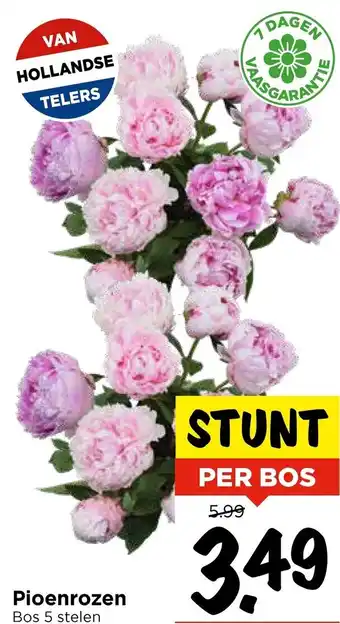 Vomar Voordeelmarkt Pioenrozen aanbieding
