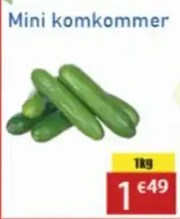 Tanger Markt Mini komkommer aanbieding
