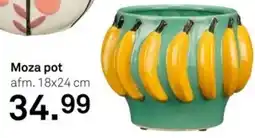 Karwei Moza pot aanbieding
