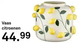 Karwei Vaas citroenen aanbieding