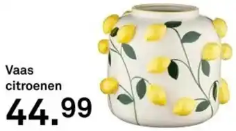 Karwei Vaas citroenen aanbieding